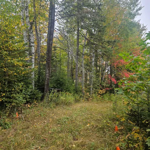 $50,000 | 206 Morrison Farm Road, Mariaville, ME 04605