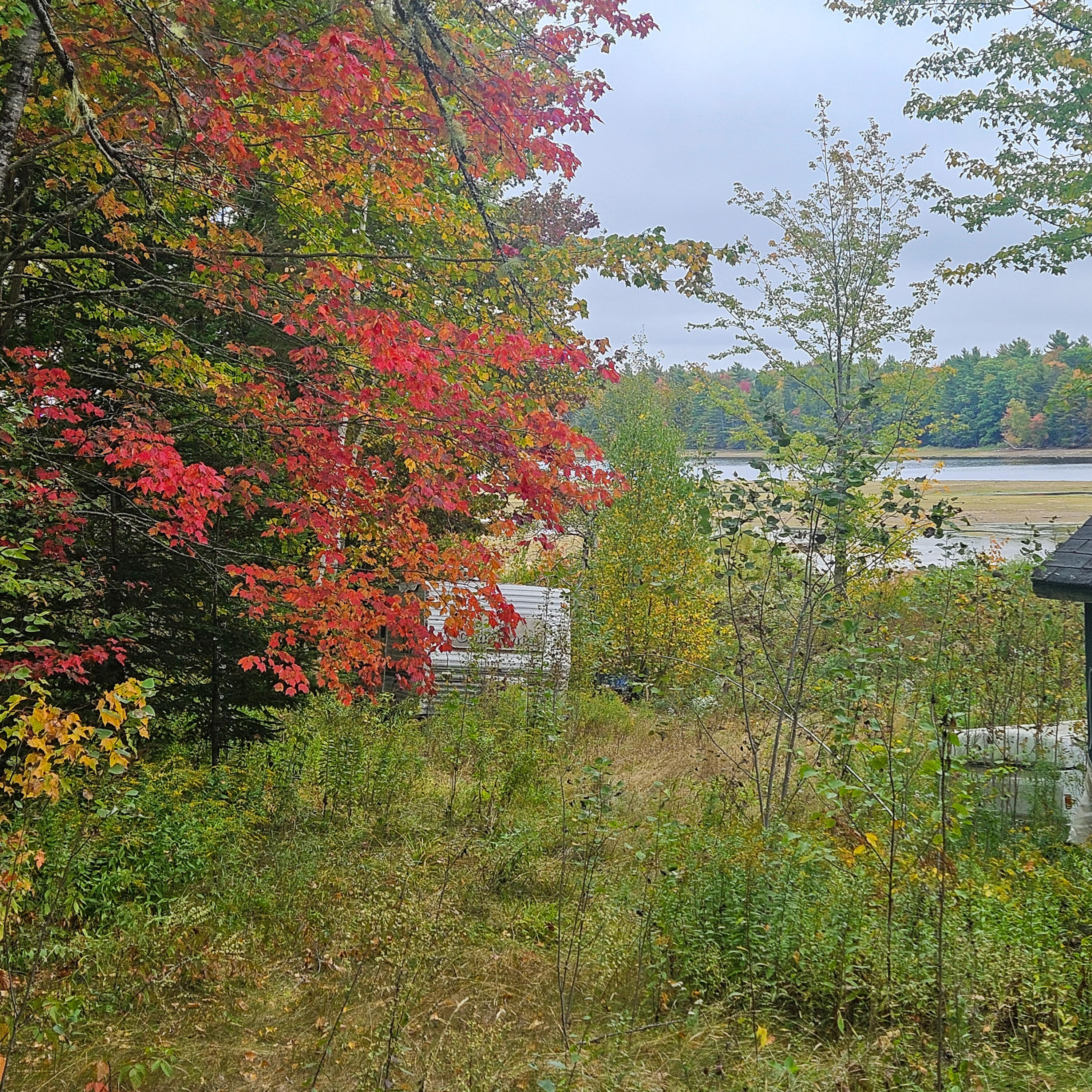 206 Morrison Farm Road Mariaville, ME 04605 - Photo 5 of 28 20250924_103959