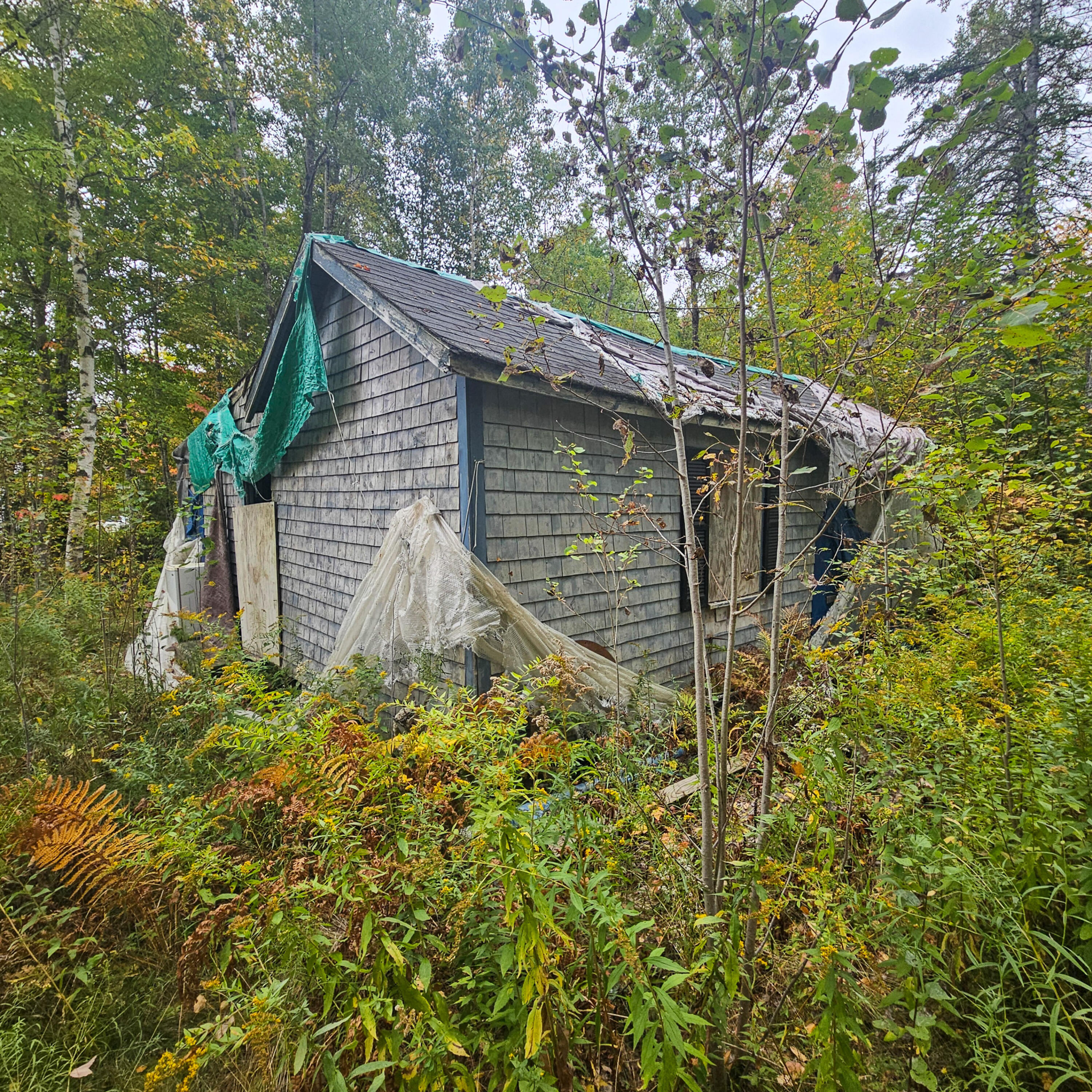 206 Morrison Farm Road Mariaville, ME 04605 - Photo 6 of 28 20250924_104031