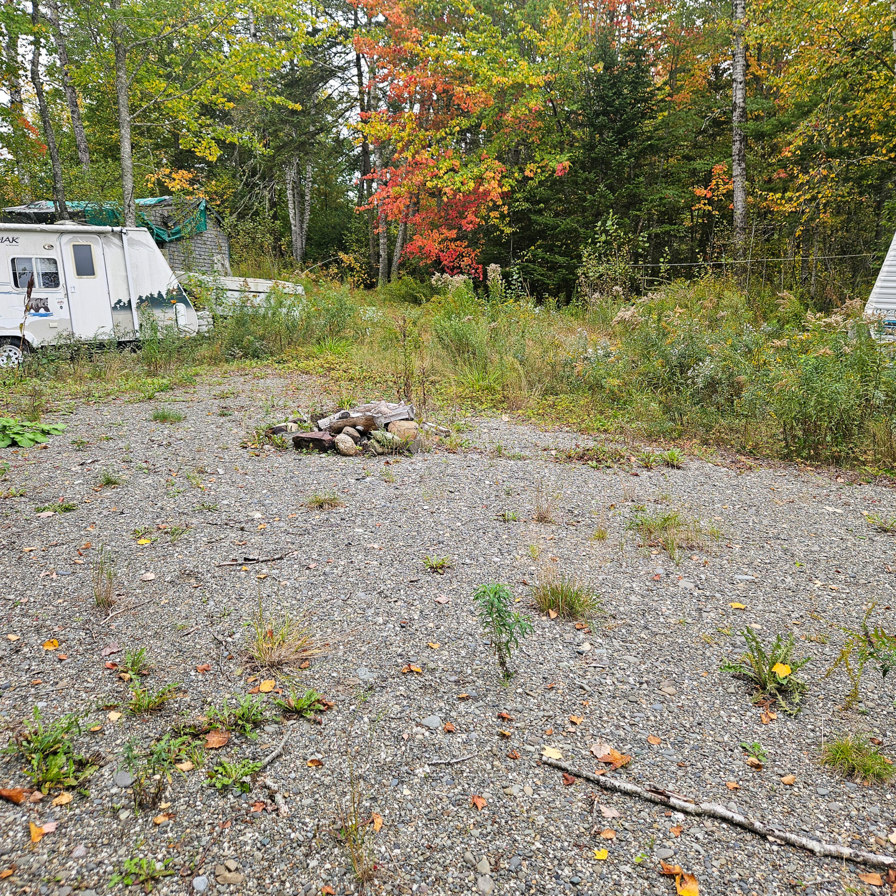 206 Morrison Farm Road Mariaville, ME 04605 - Photo 8 of 28 20250924_105451