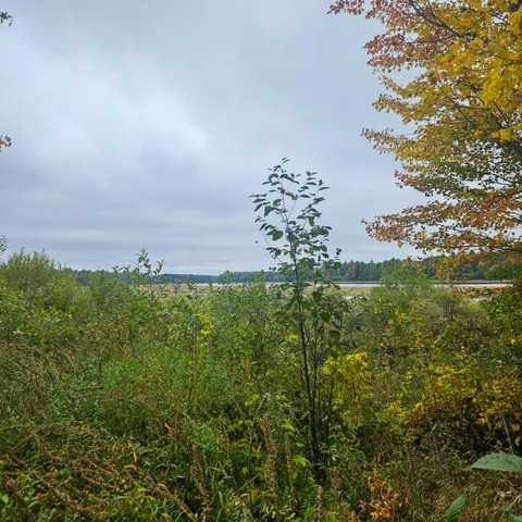 $50,000 | 206 Morrison Farm Road, Mariaville, ME 04605