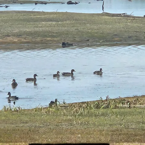 $50,000 | 206 Morrison Farm Road, Mariaville, ME 04605