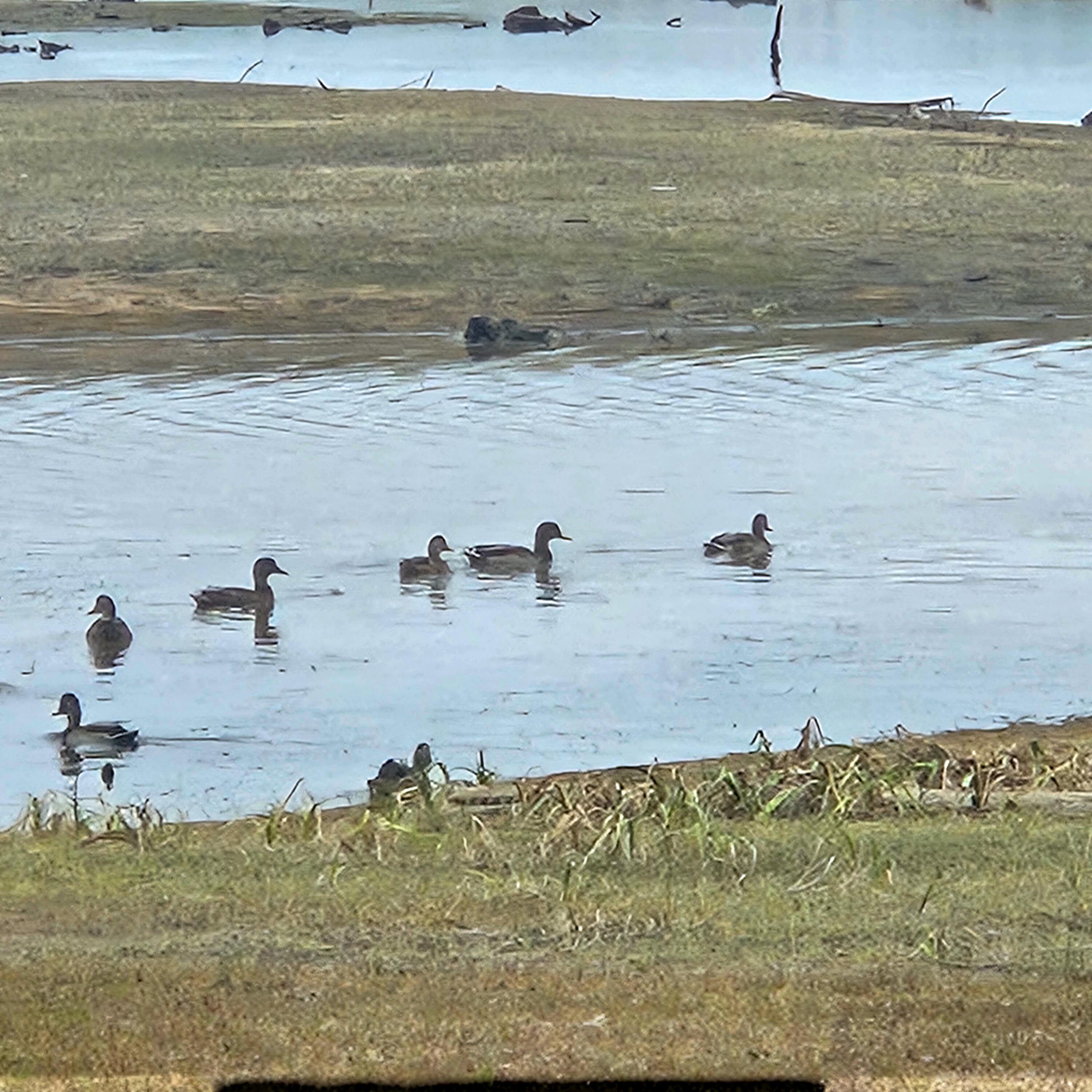 206 Morrison Farm Road Mariaville, ME 04605 - Photo 10 of 28 20250924_105601