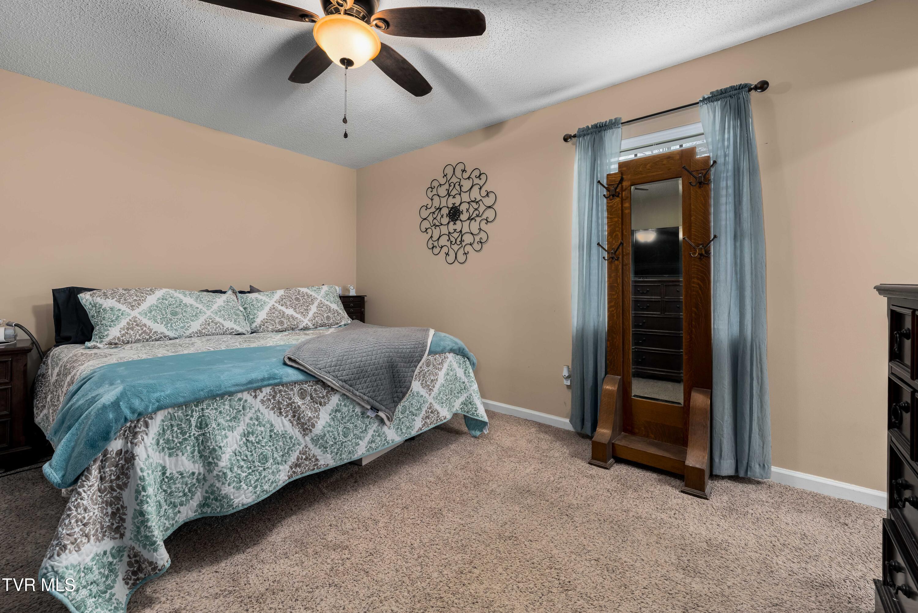253 Springview Drive Gray, TN 37615 - Photo 21 of 45 253 Springview Dr (39 of 46)