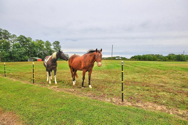 6484 Cornwallis Road Garner, NC 27529 - Photo 19 of 24 Gallery Image 19