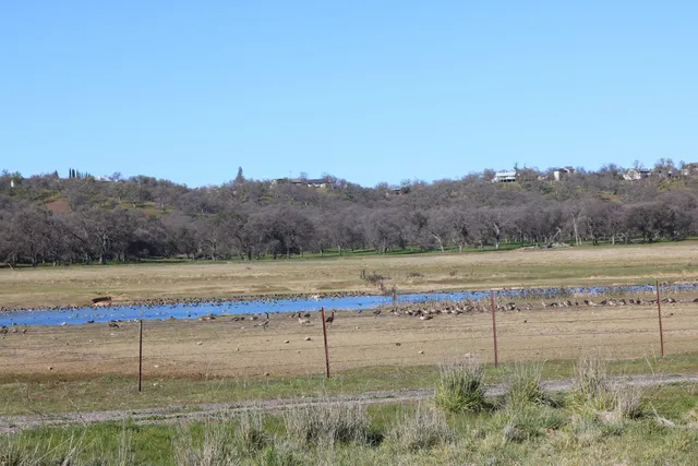 a view of a back yard