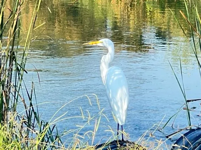 a roof deck with table and chairs