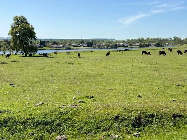 a view of an ocean and beach