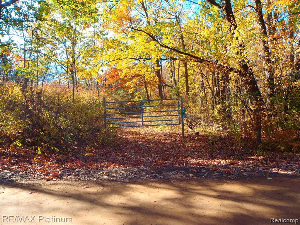 0 Cole Road Linden, MI 48451 - Photo 1 of 1