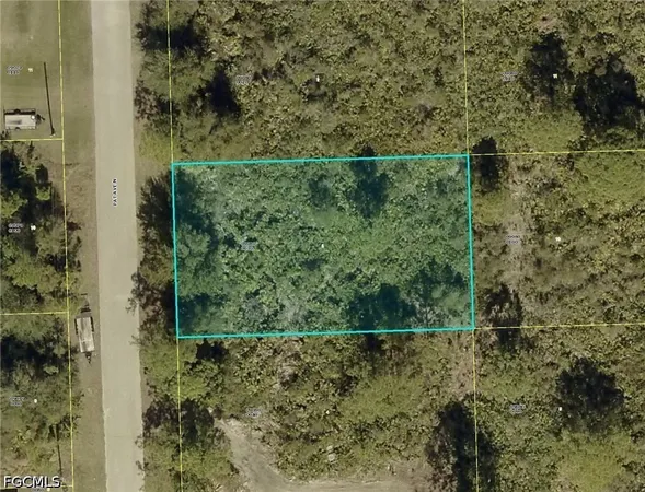 a view of a bathroom with a dry plant
