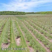11240 Milarch Road Onekama, MI 49675 - Photo 36 of 60 kNZlffu7