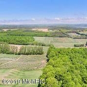 11240 Milarch Road Onekama, MI 49675 - Photo 9 of 60 Wue0MuoI
