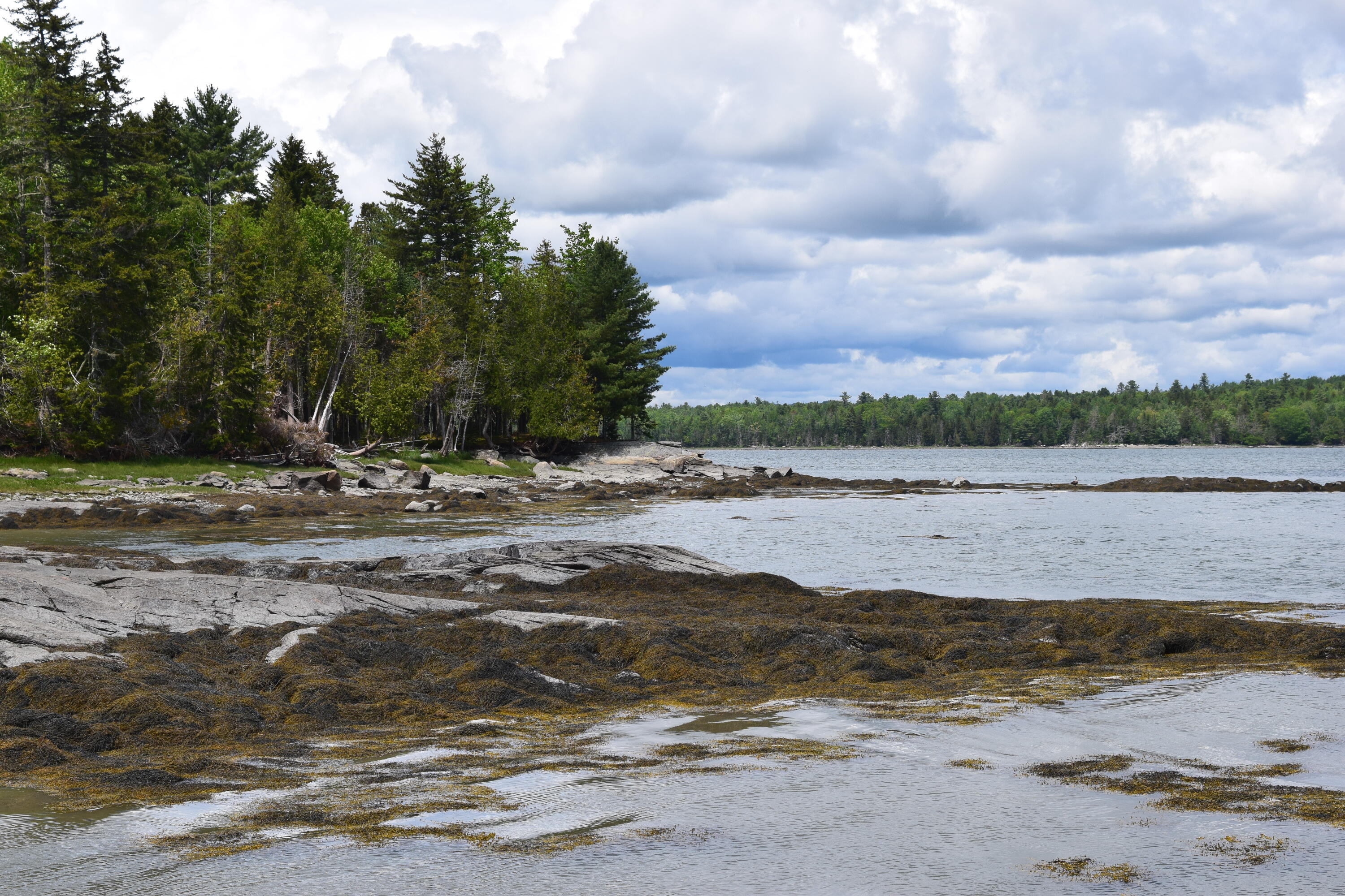 0 Landing Road Hancock, ME 04640 - Photo 10 of 17 DSC_0052