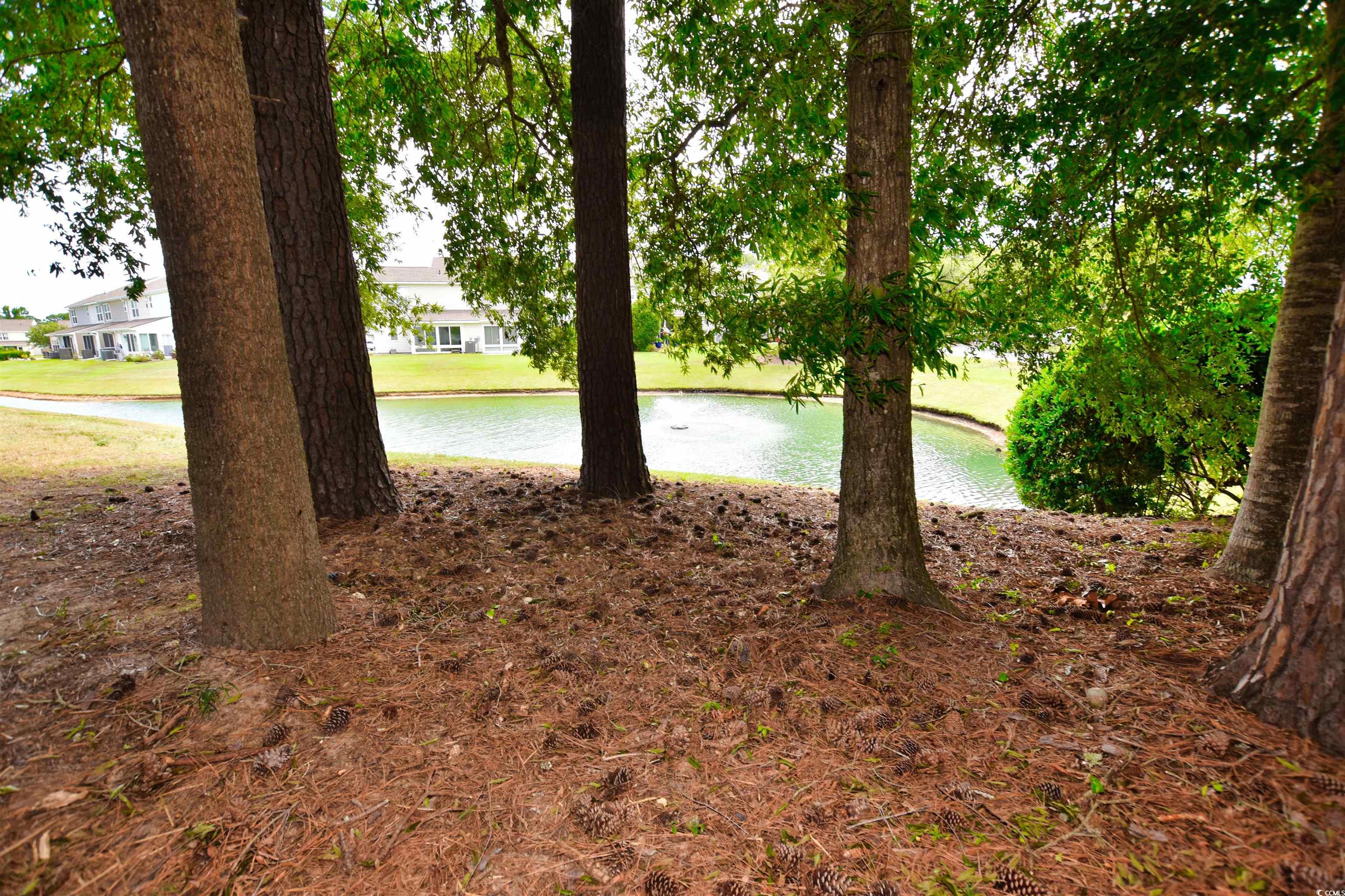 1065 Pinwheel Loop, Unit 1065 Myrtle Beach, SC 29577 - Photo 23 of 27
