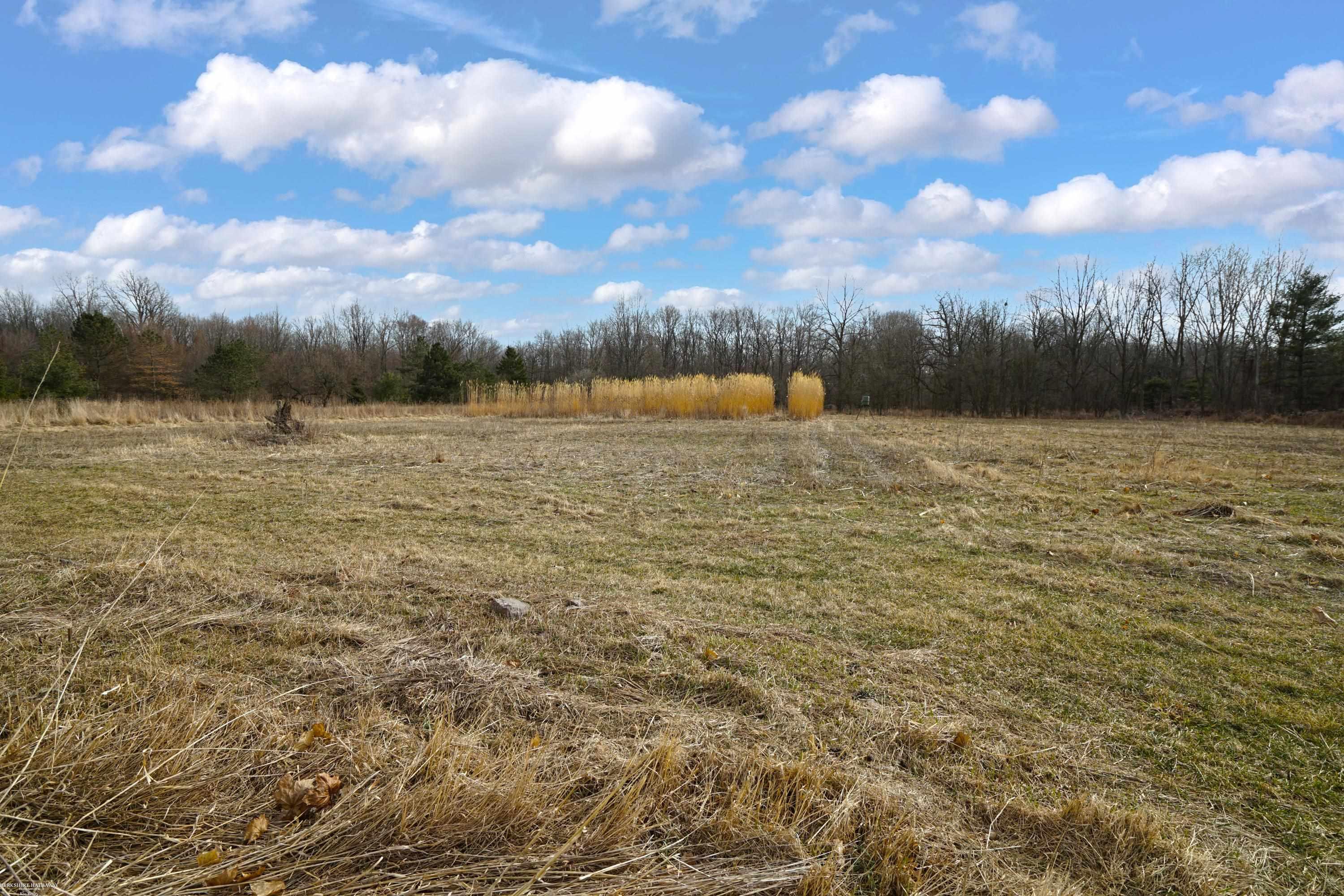 14877 Terry Road Allenton, MI 48002 - Photo 31 of 66 50168612-1f91e8fa-bc96-45df-b3c1-1079626b02bf.JPG