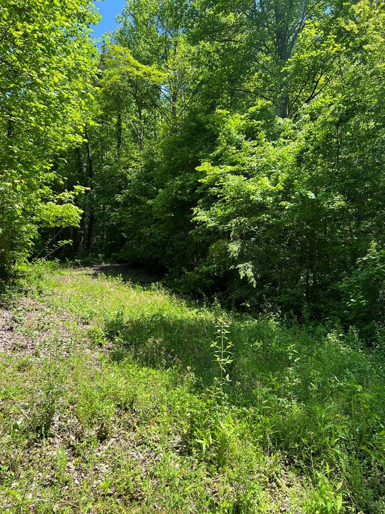 3 Hidden Valley Road Gatlinburg, TN 37738 - Photo 1 of 1 Gallery Image 1