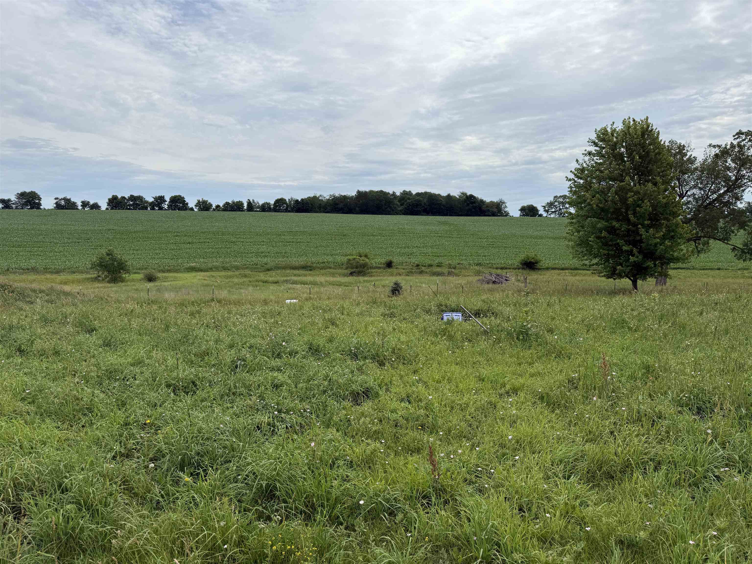 11329 North Damascus Road Orangeville, IL 61060 - Photo 19 of 21
