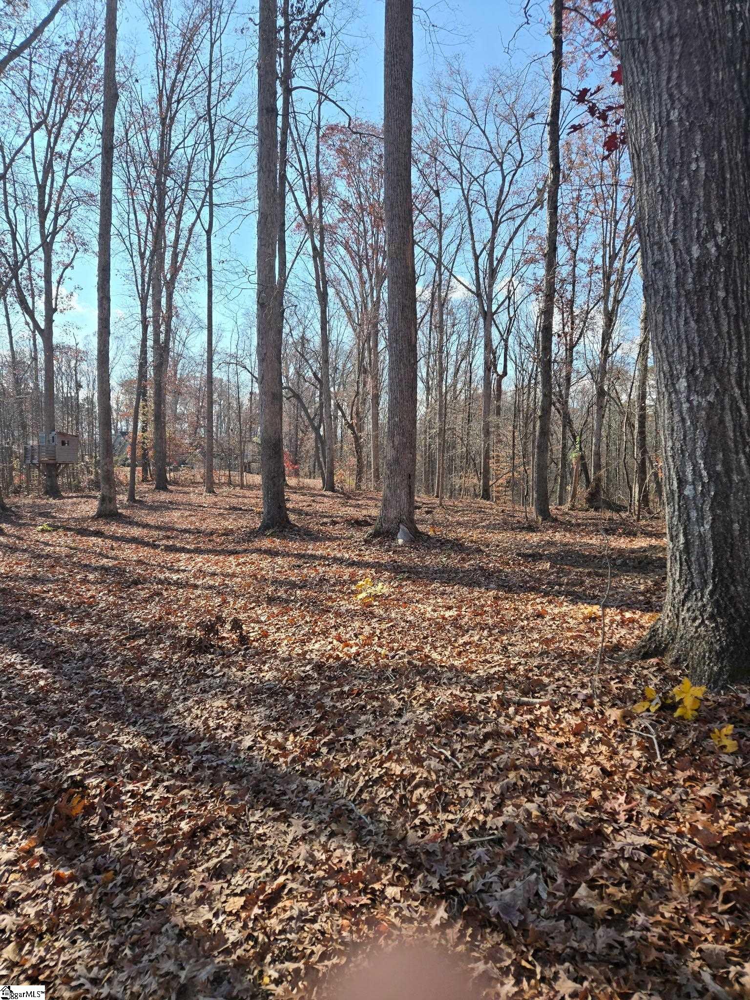 5 Leber Drive Williamston, SC 29697 - Photo 4 of 8