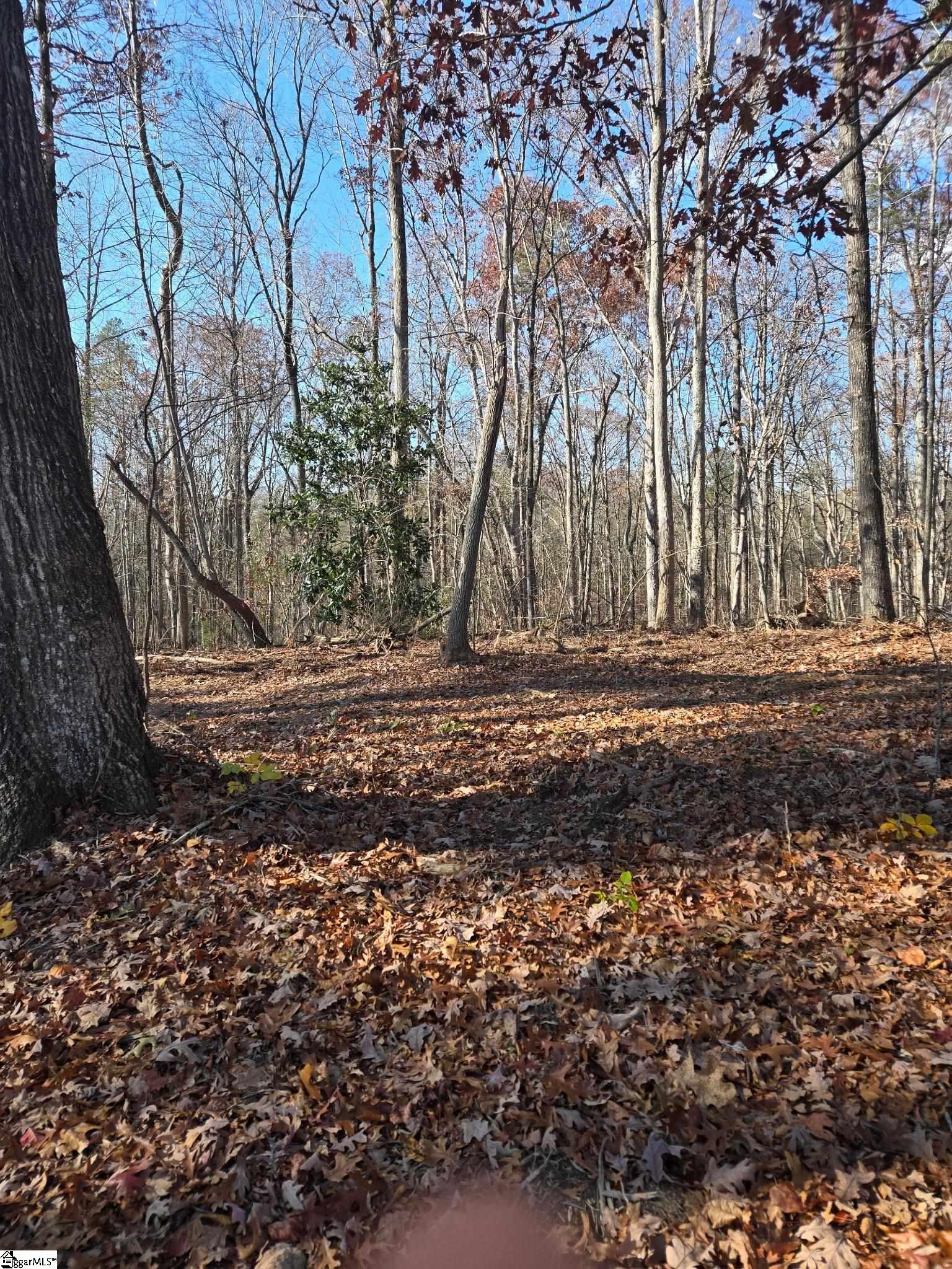 5 Leber Drive Williamston, SC 29697 - Photo 5 of 8
