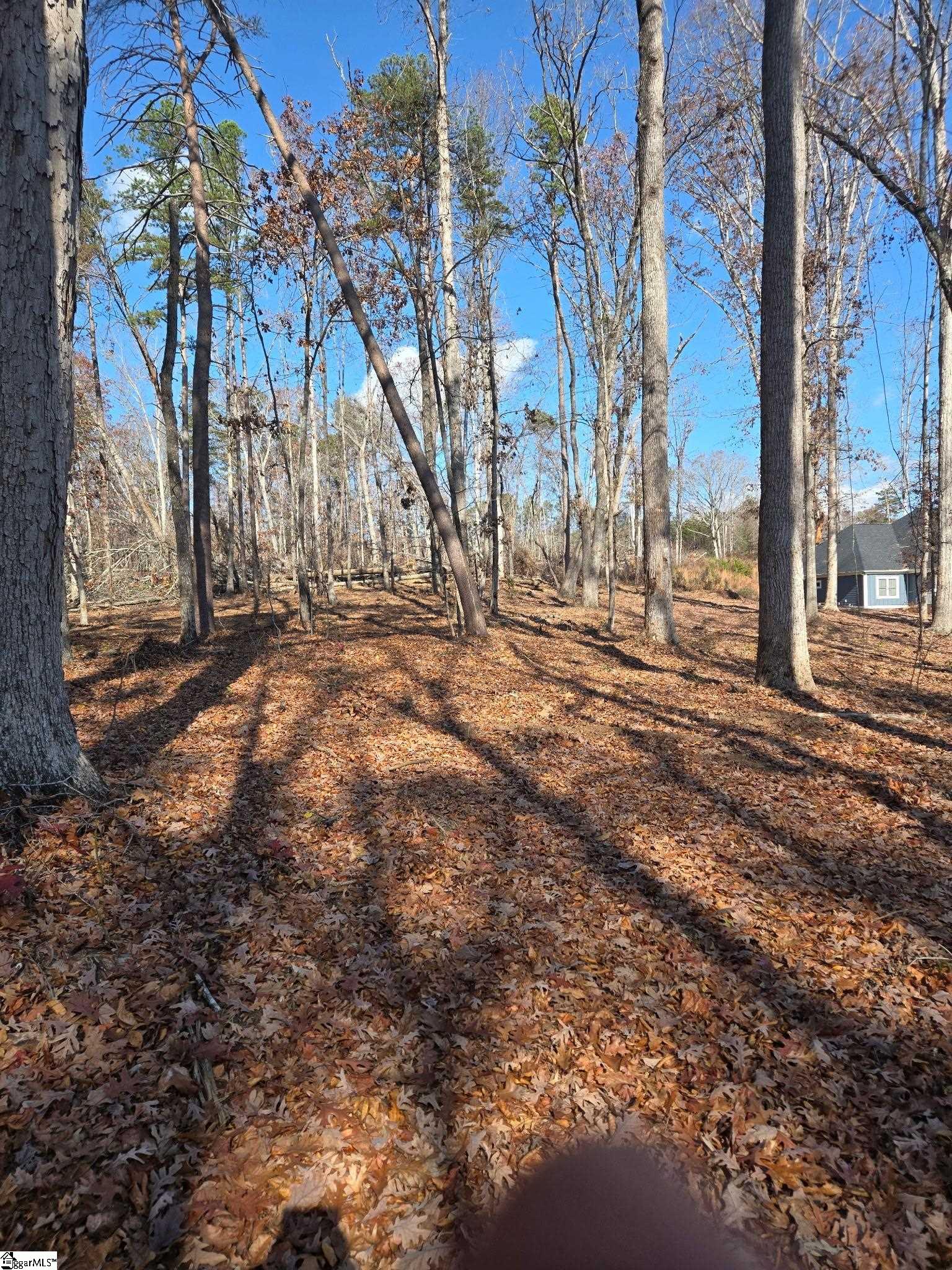5 Leber Drive Williamston, SC 29697 - Photo 6 of 8