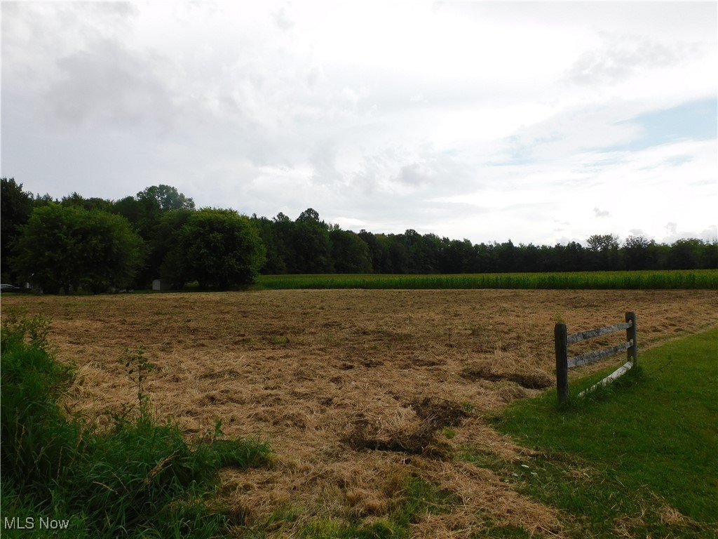 Reed Road Conneaut, OH 44030 - Photo 2 of 6 View of local wilderness with a rural view