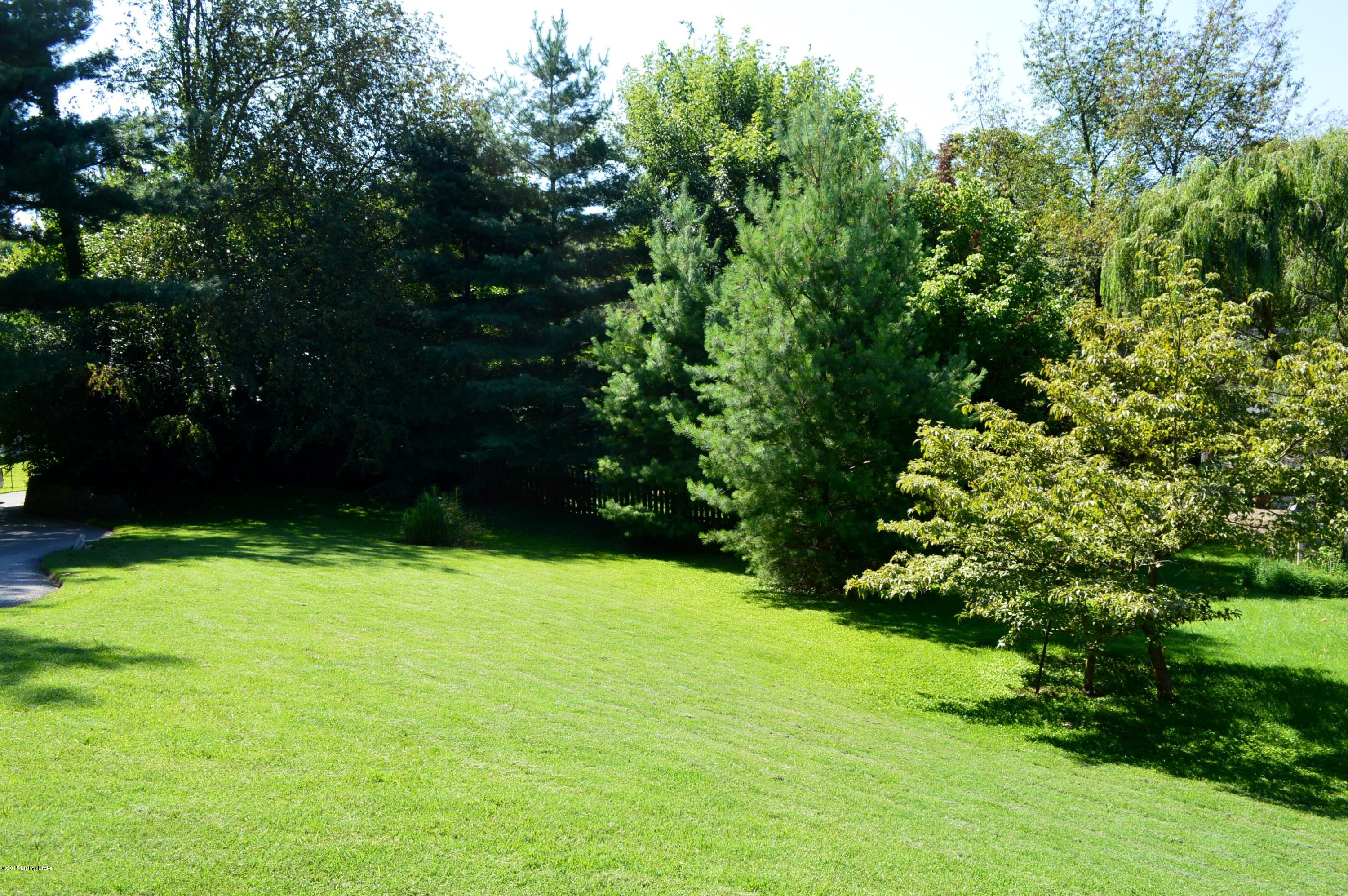 13403 Creekview Road Prospect, KY 40059 - Photo 32 of 34 Beautiful view from front porch