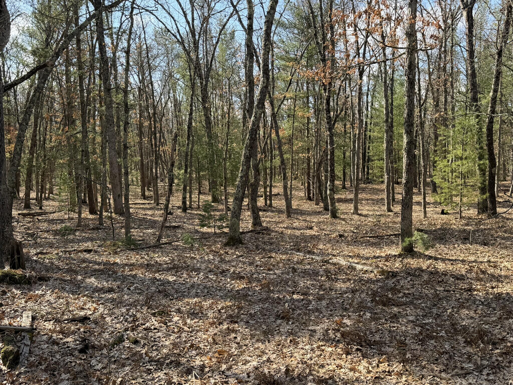 7363 Riverside Drive Manistee, MI 49660 - Photo 20 of 29 Facing south 3