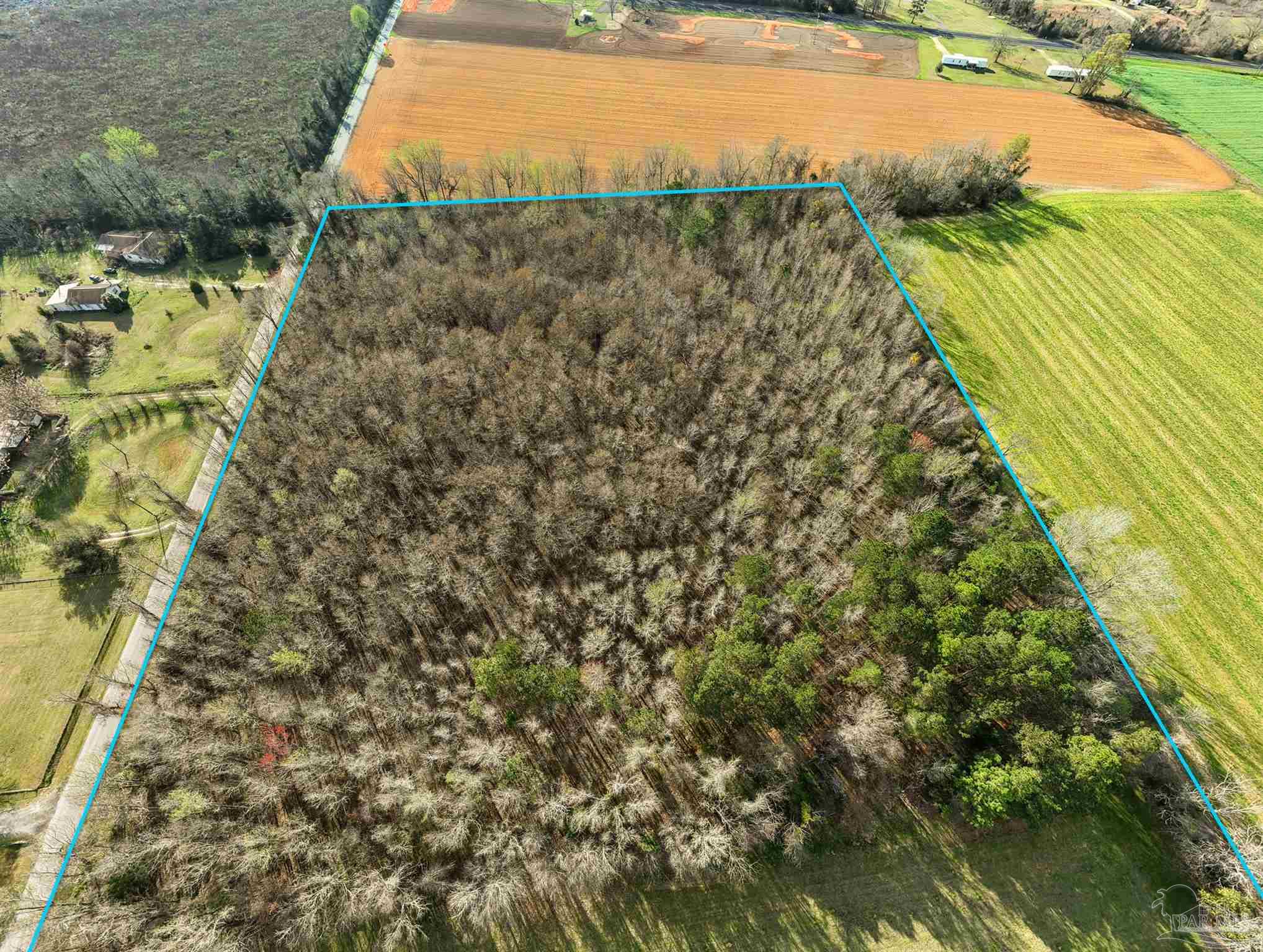 6562 Will Jones Road Jay, FL 32565 - Photo 12 of 12