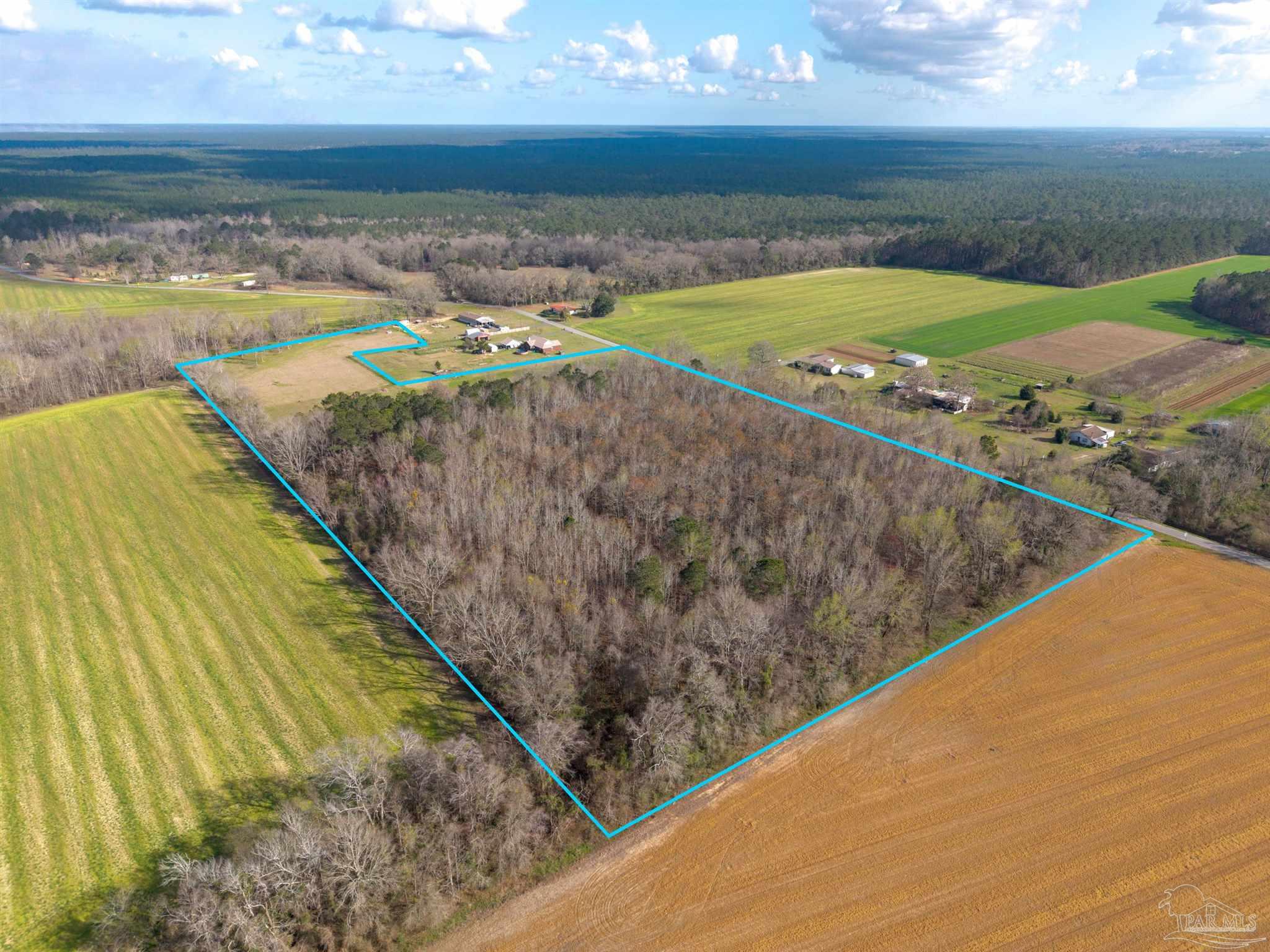 6562 Will Jones Road Jay, FL 32565 - Photo 4 of 12