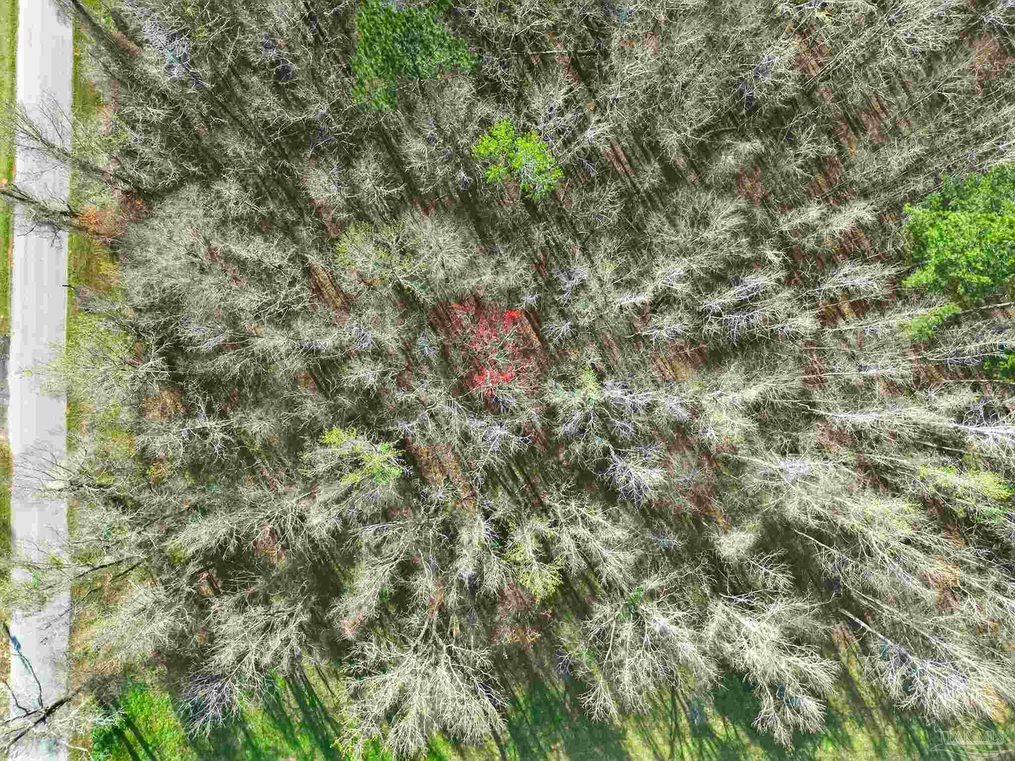 6562 Will Jones Road Jay, FL 32565 - Photo 10 of 12