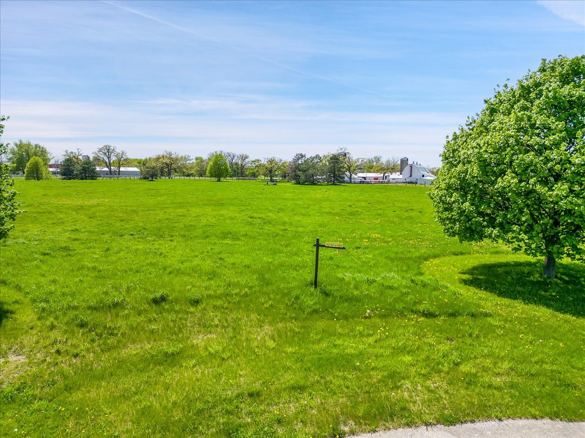 17405 Wildflower Circle Union, IL 60180 - Photo 15 of 18 a backyard of a house with lots of green space and garden