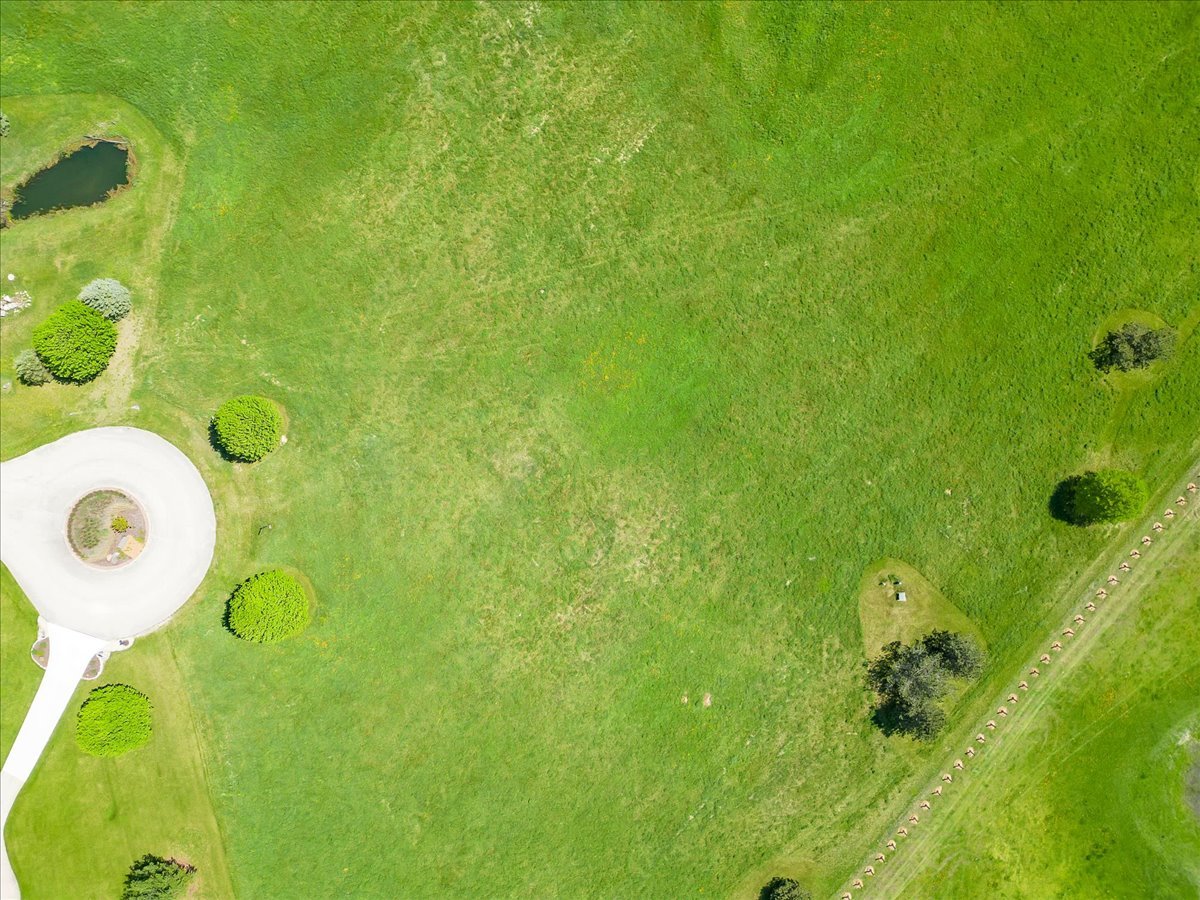 17405 Wildflower Circle Union, IL 60180 - Photo 3 of 18 a bathroom with a shower