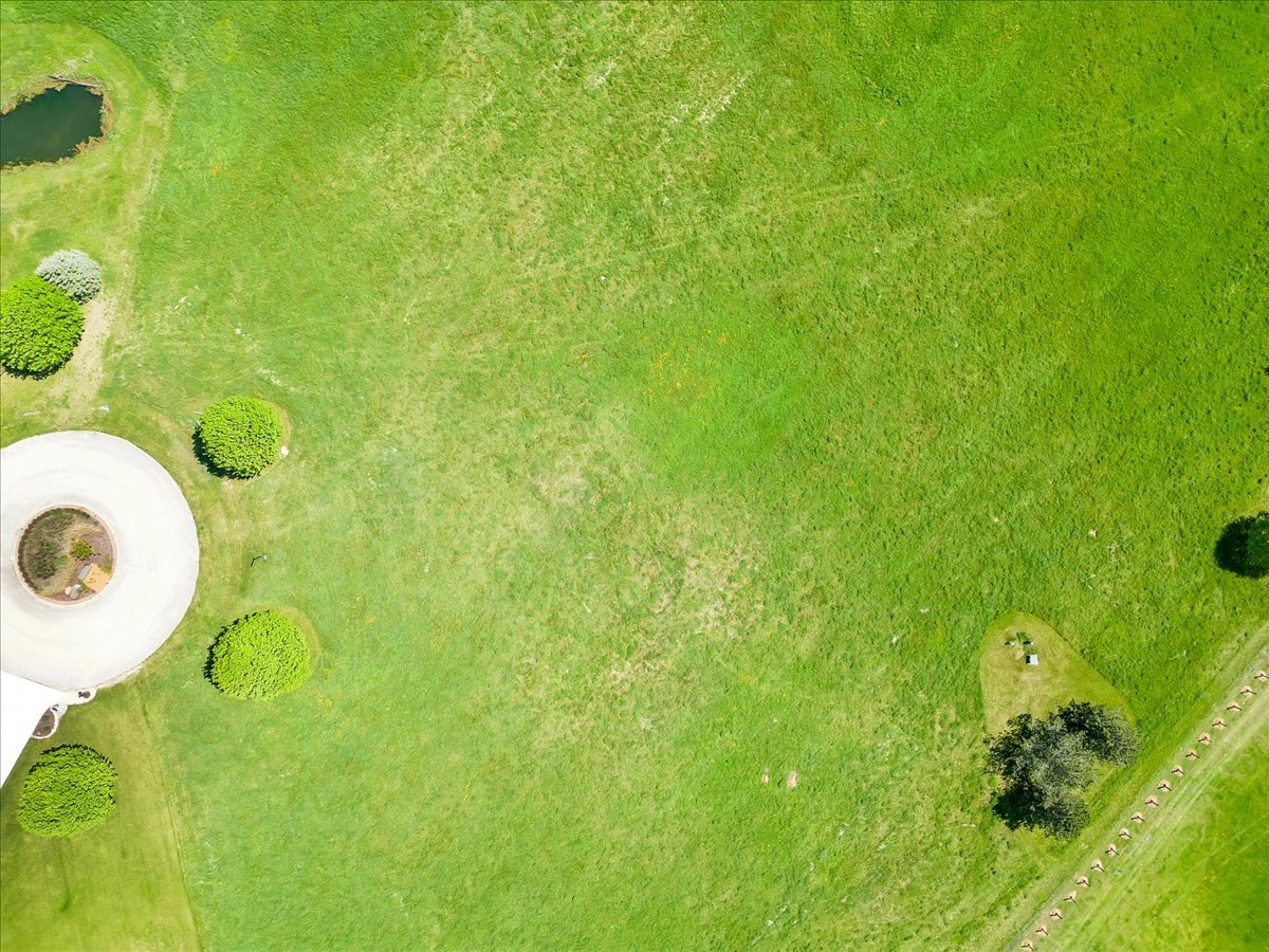 17405 Wildflower Circle Union, IL 60180 - Photo 4 of 18 a close up of a wall with a sink