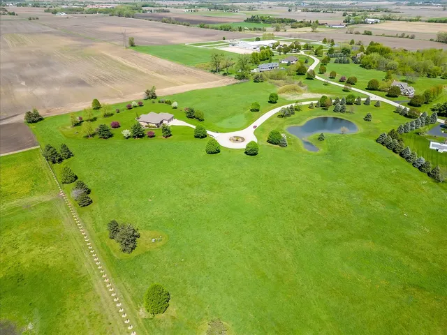 a view of a garden with plants and large trees