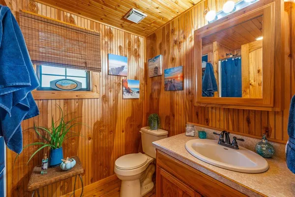 a bathroom with a sink a toilet and shower