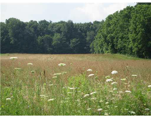 0 Quinn Road North Liberty, IN 46554 - Photo 1 of 3 Gallery Image 1
