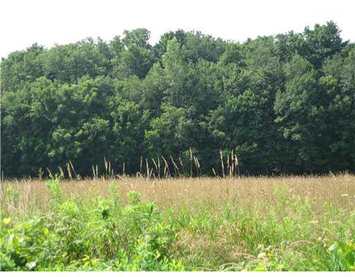 0 Quinn Road North Liberty, IN 46554 - Photo 2 of 3 Gallery Image 2