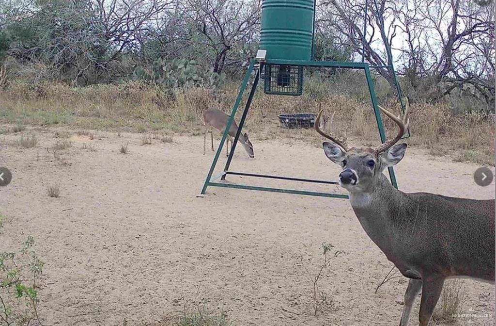 0 Private Road Encino, TX 78353 - Photo 12 of 16 a view of outdoor space and yard