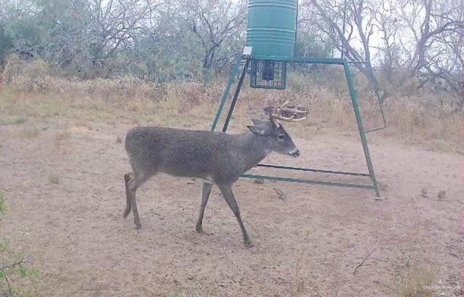 0 Private Road Encino, TX 78353 - Photo 14 of 16 a view of entryway with wooden floor
