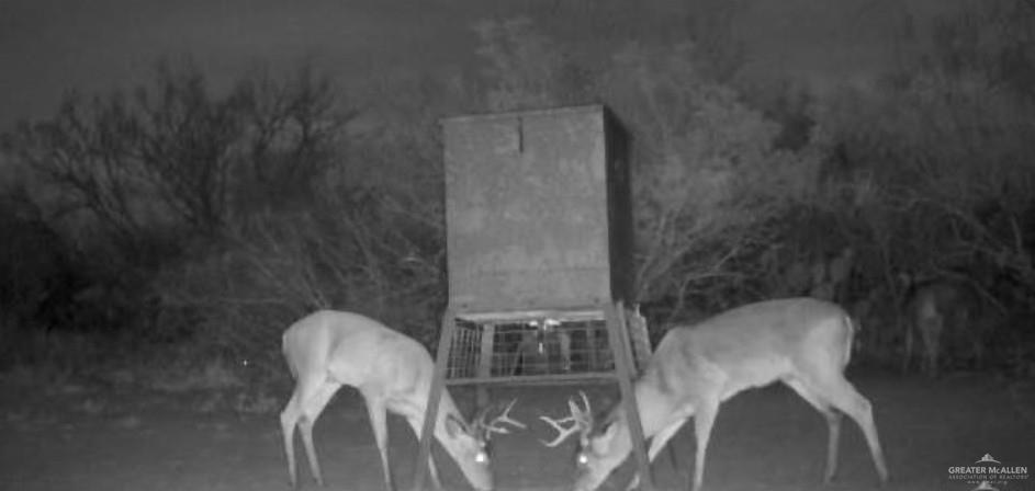 0 Private Road Encino, TX 78353 - Photo 15 of 16 a close view of tap