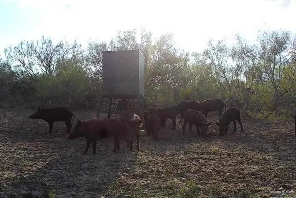 a view of a chairs and table in a yard