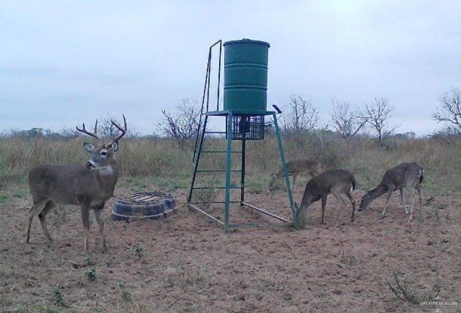 0 Private Road Encino, TX 78353 - Photo 9 of 16 a view of a outdoor space