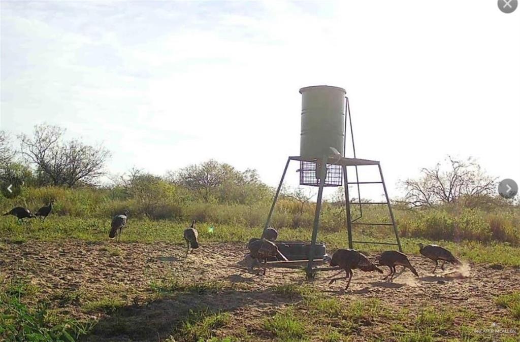0 Private Road Encino, TX 78353 - Photo 10 of 16 a view of a garden with a slide