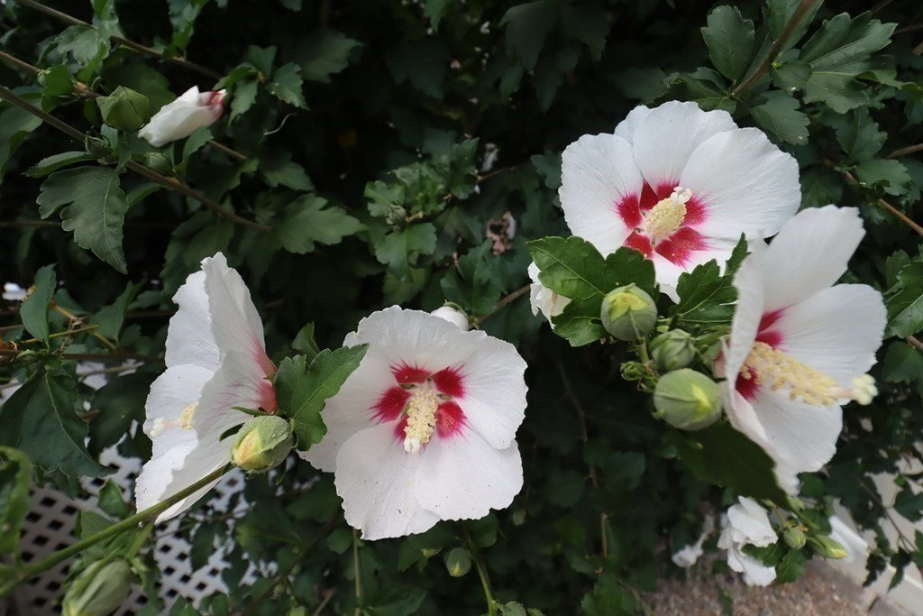 31 Longview Way Peabody, MA 01960 - Photo 32 of 42 a view of painting sitting