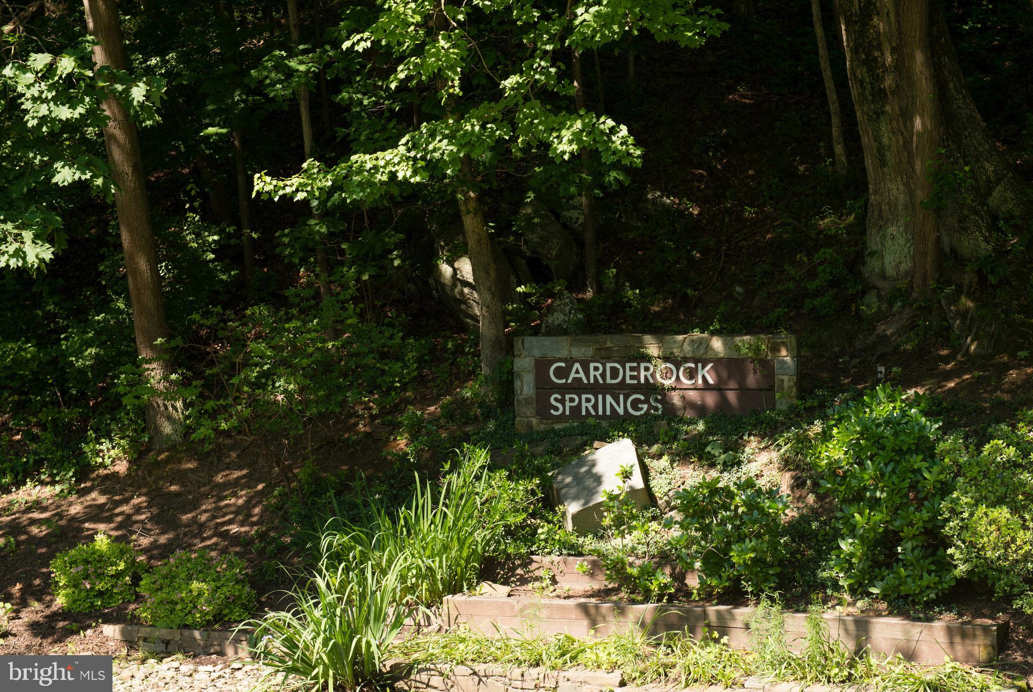 8317 Still Spring Court Bethesda, MD 20817 - Photo 43 of 47