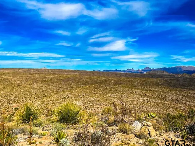$1,200,000 | 34952 Fm 170 & Mariposa Mine Road, Terlingua, TX 79852