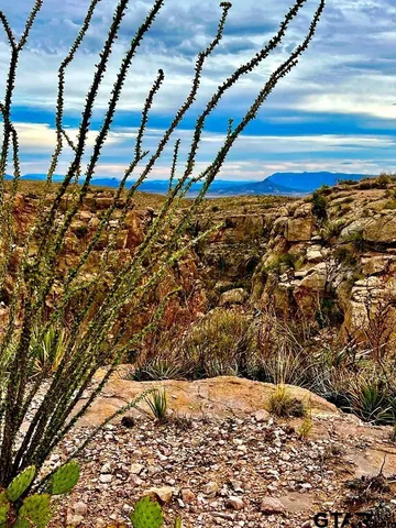 $1,200,000 | 34952 Fm 170 & Mariposa Mine Road, Terlingua, TX 79852