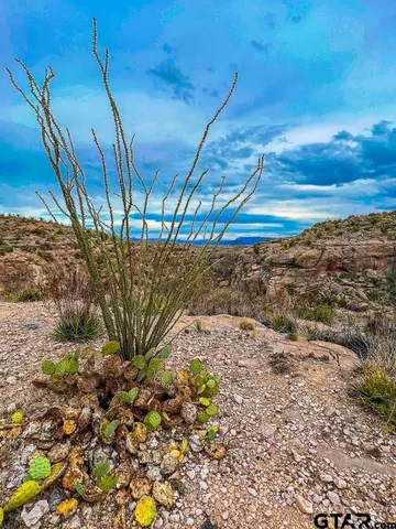 $1,200,000 | 34952 Fm 170 & Mariposa Mine Road, Terlingua, TX 79852