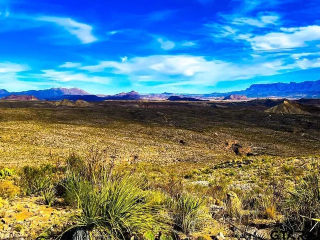 $1,200,000 | 34952 Fm 170 & Mariposa Mine Road, Terlingua, TX 79852