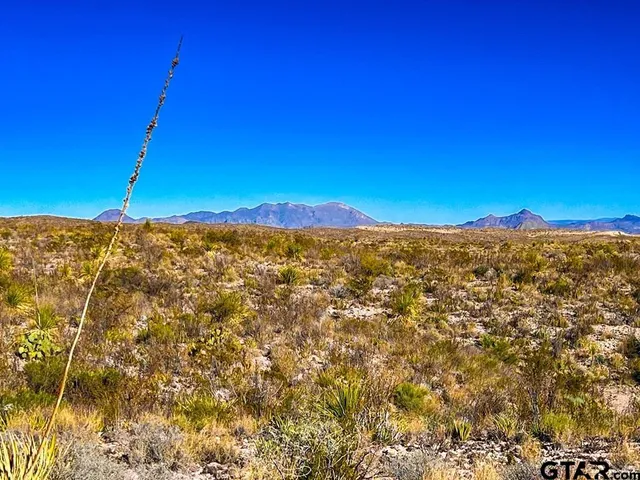 $1,200,000 | 34952 Fm 170 & Mariposa Mine Road, Terlingua, TX 79852